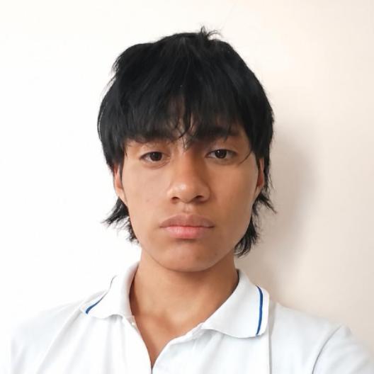 User Image