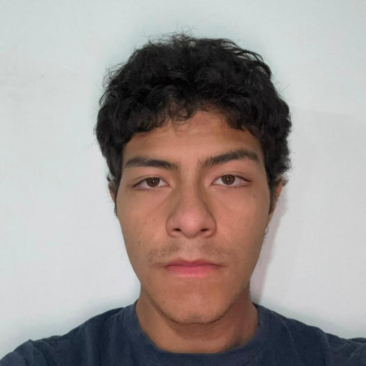 User Image