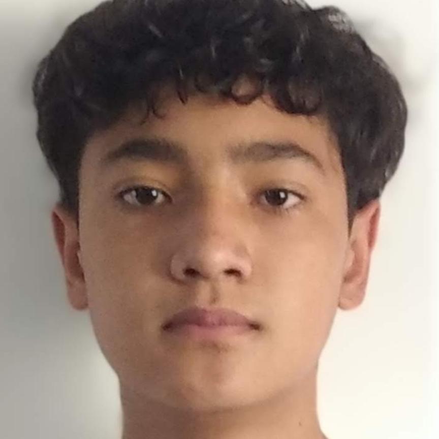 User Image