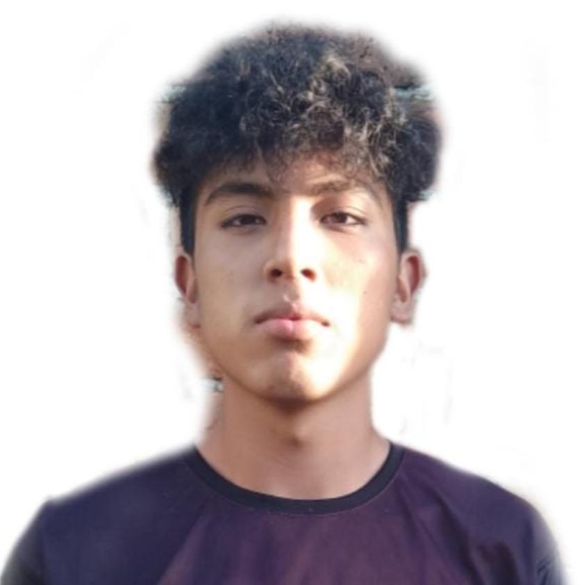User Image